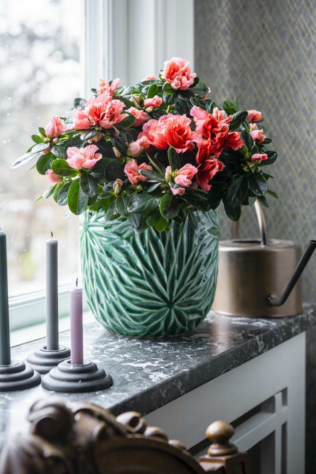Bild på en azalea med ljusröda blommor i en grön mönstrad kruka. Blomman står i en fönsterkarm.