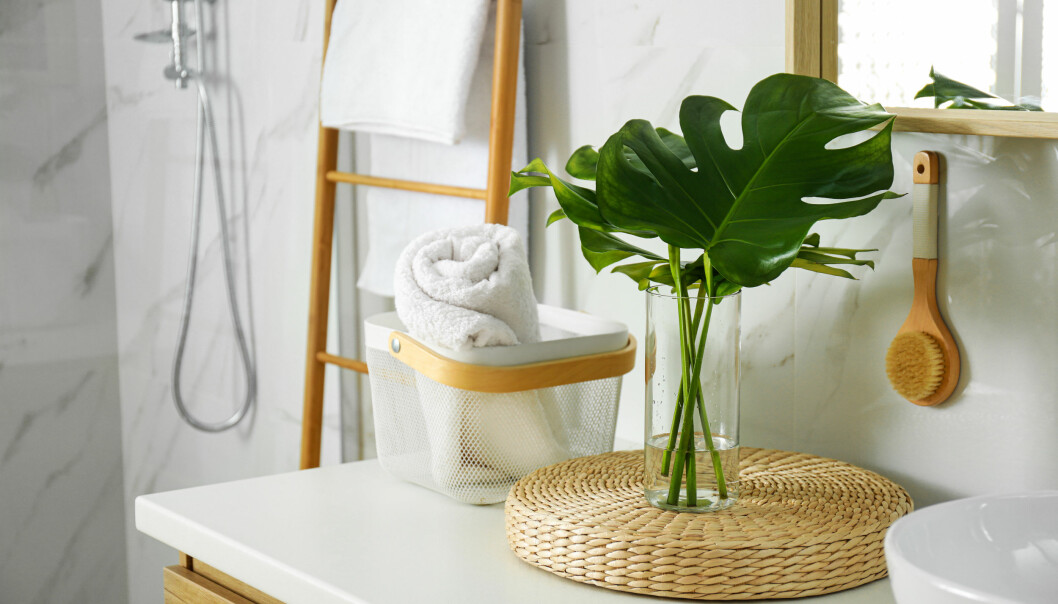 Badrum med en grön växt på vasken.