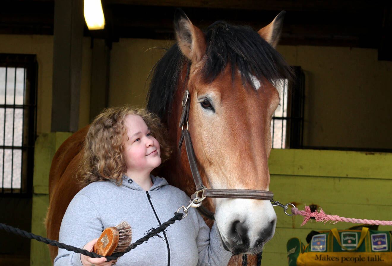 Emma med ryktborsten hos hästen Baltazar.