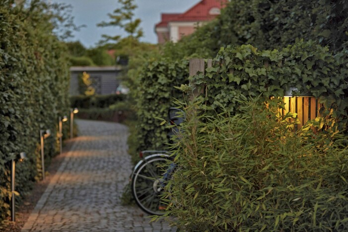 L'illuminazione delle facciate ha uno svantaggio a cui raramente pensiamo: i ragni imparano dove sedersi e aspettare gli insetti. Meno luce significa meno escrementi di ragno sulla facciata. Illuminazione della facciata.