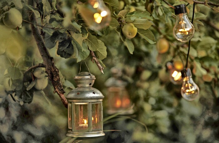 Tillfällig belysning, som släcks ner när den inte behövs, kan ge tillräckligt av den trivsel vi ofta är ute efter med trädgårdsbelysning. Mörkret är så mycket viktigare än att vi ska titta på ett elegant upplyst träd från vardagsrumsfönstret.