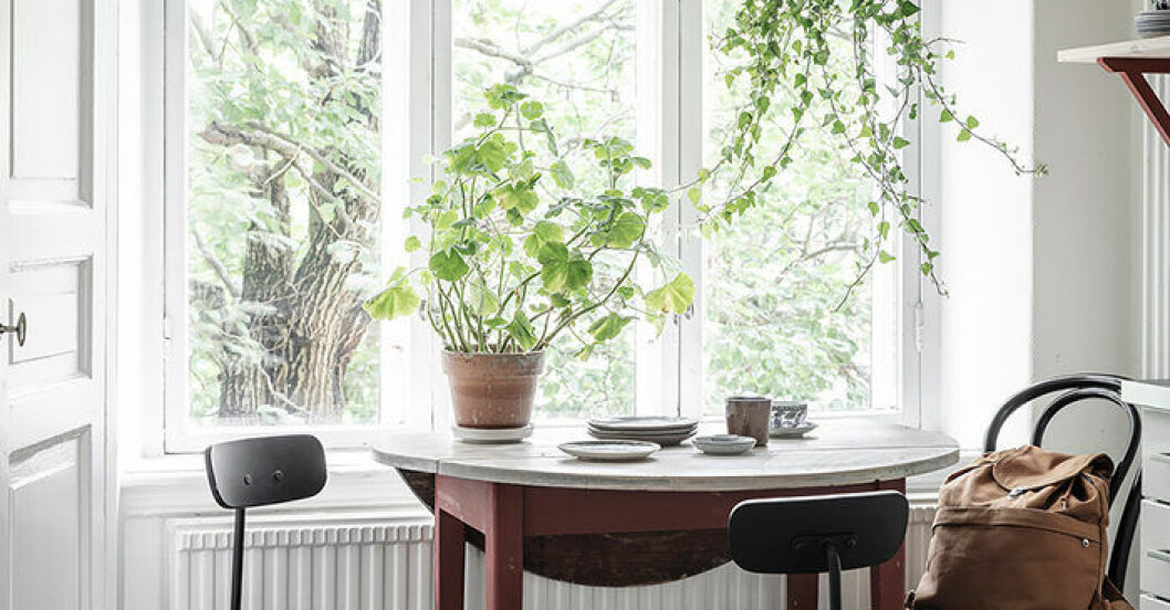 Gjutjärnsgryta från Big Green Egg i en mörkgrön nyans.