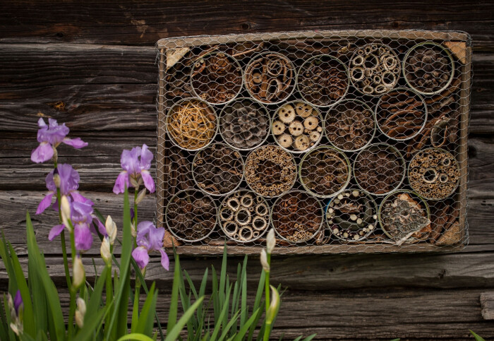 Insektshotell och blommande växter hjälper trädgårdens bin och pollinatörer i sommar. Ett insektshotell hjälper pollinatörerna i trädgården under sommaren.