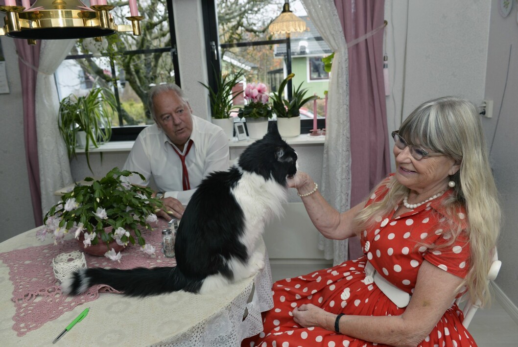 Paret sitter vid ett bord, med en långhårig katt på bordet.
