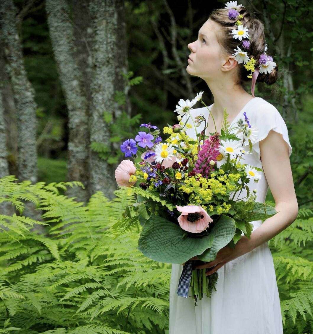 Midsommarbuketten blir extra vacker om blad och vilda inslag får vara med. Här bildar funkia och ormbunkar bas till jättevallmo, daggkåpa, prästkrage, lupin, näva, stjärnflocka, smörblomma och pionknoppar. Flicka med midsommarblomster i händerna och håret.