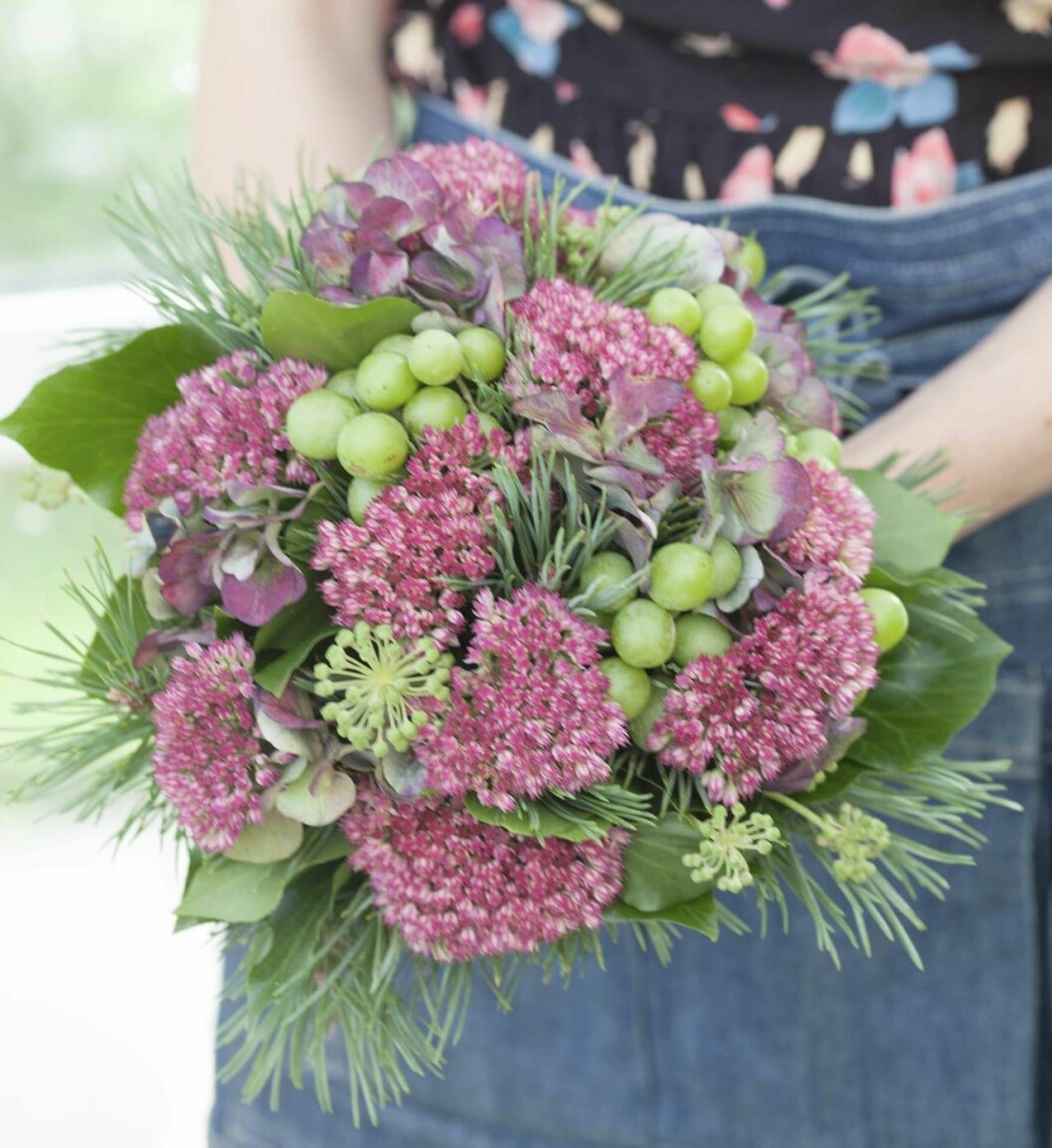 Satsa på material som traditionellt inte används tillsammans. Kontrastera med färger och former. Här har vi skördat krispigt gröna vindruvor, kärleksört, murgrönans blommor och hortensia. Höstbukett med röna vindruvor, kärleksört, murgrönans blommor och hortensia