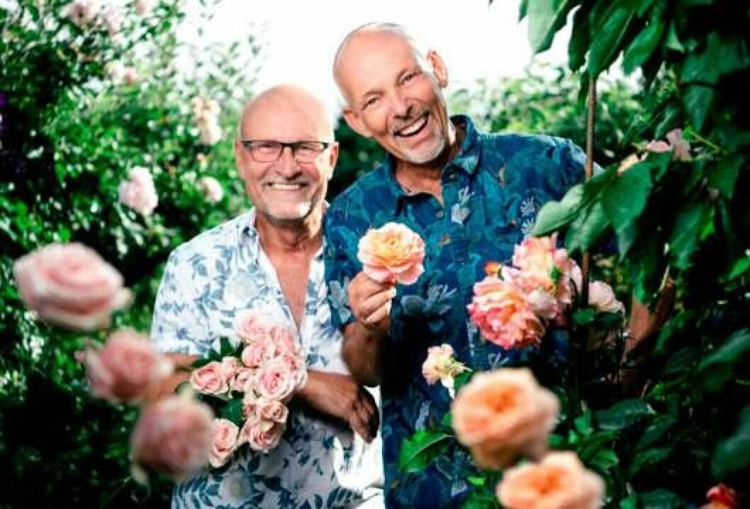 Rosentusiasterna Björn-Åke och Jürgen. Foto: Margareta Bloom Sandebäck, Kanal 5 och Dplay Björn-Åke och Jürgen i Paradiset Iris på Kanal 5 hösten 2019.