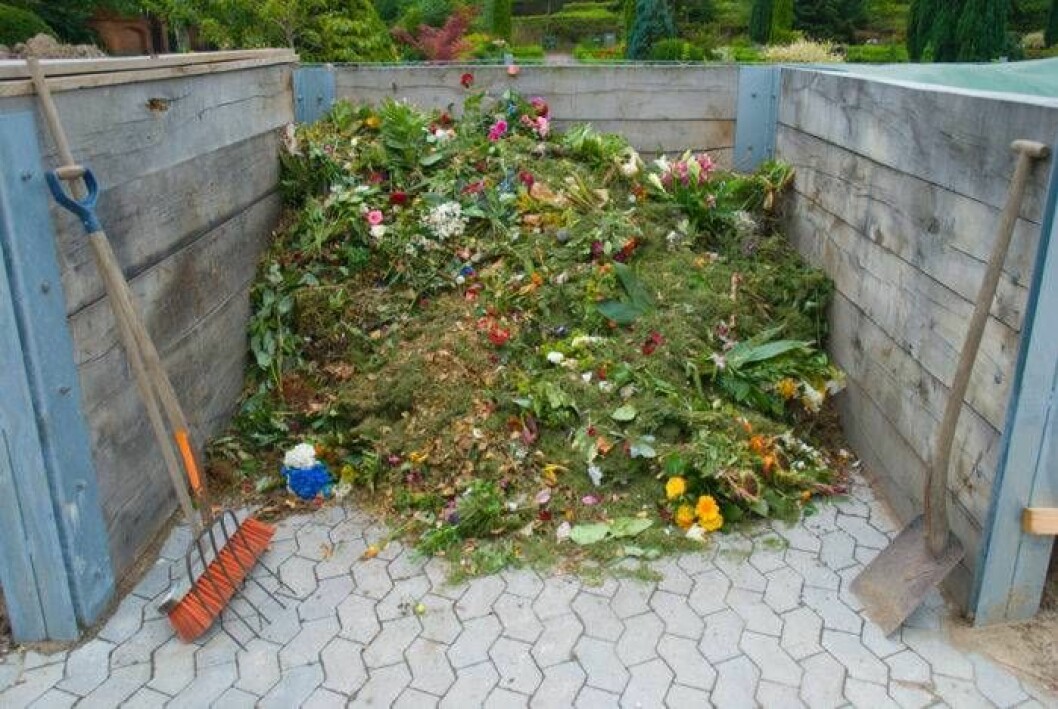 Komposterade blommor. Foto: Worldpix / Alamy Komposterade blommor.