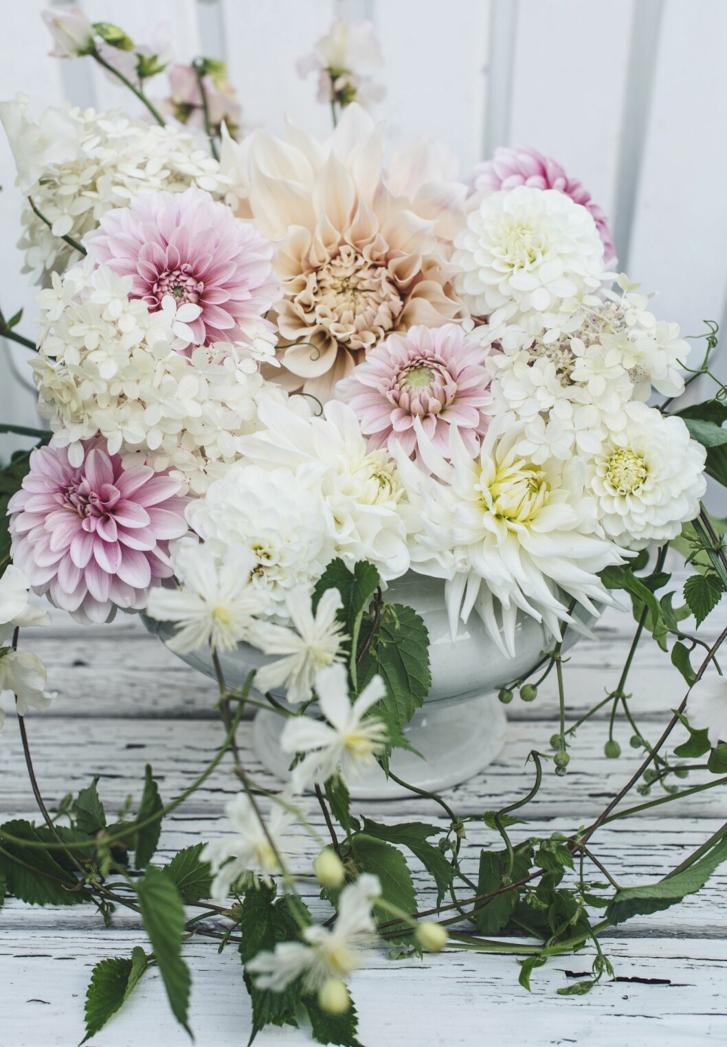 Arrangera dina blommor i en loppis-fyndad soppterrin. Gör en boll av ett hönsnät och lägg i för att sedan sticka ner stjälkarna. Här syns dahlior, luktärt, hortensia och klematis i en terrin från Göteborgs porslinsfabrik. Ett fång blommor i vita, rosa och aprikosa nyanser står i en vit soppterrin.