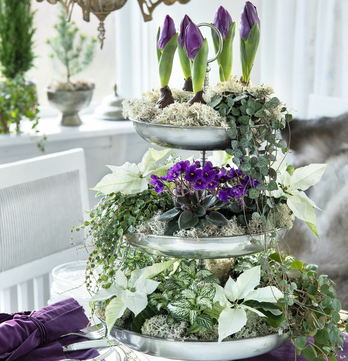 Blomsterarrangemang i flera våningar till nyår med miniväxter.