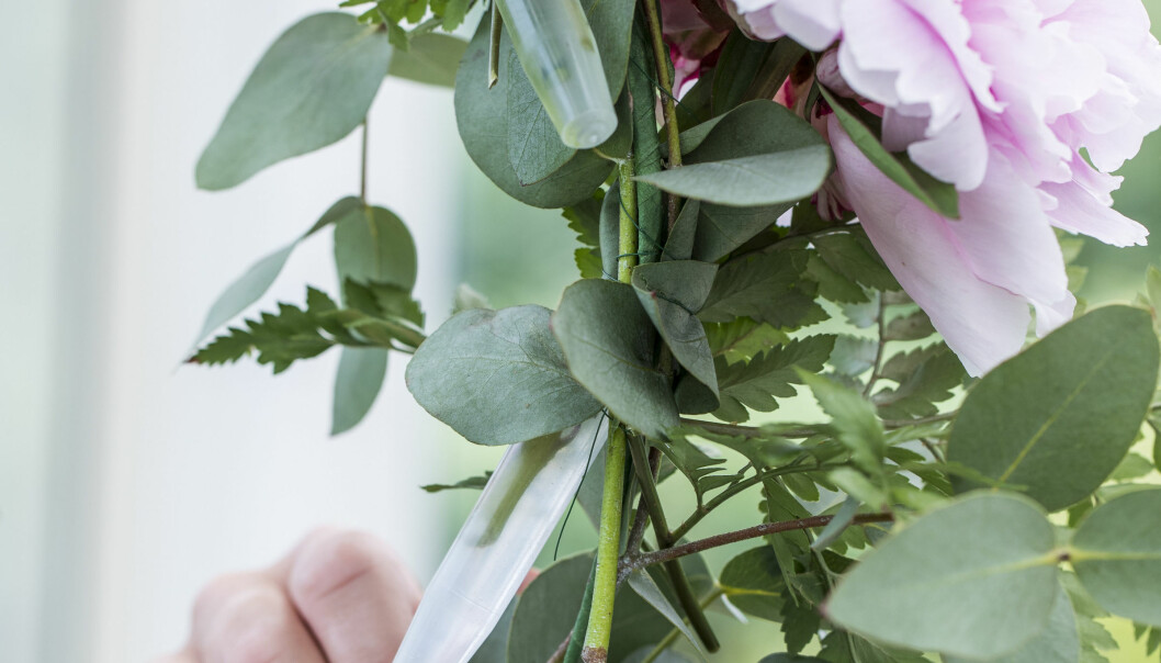 Stick ner blommor i provrör och häng fast i din blomsterkrans.