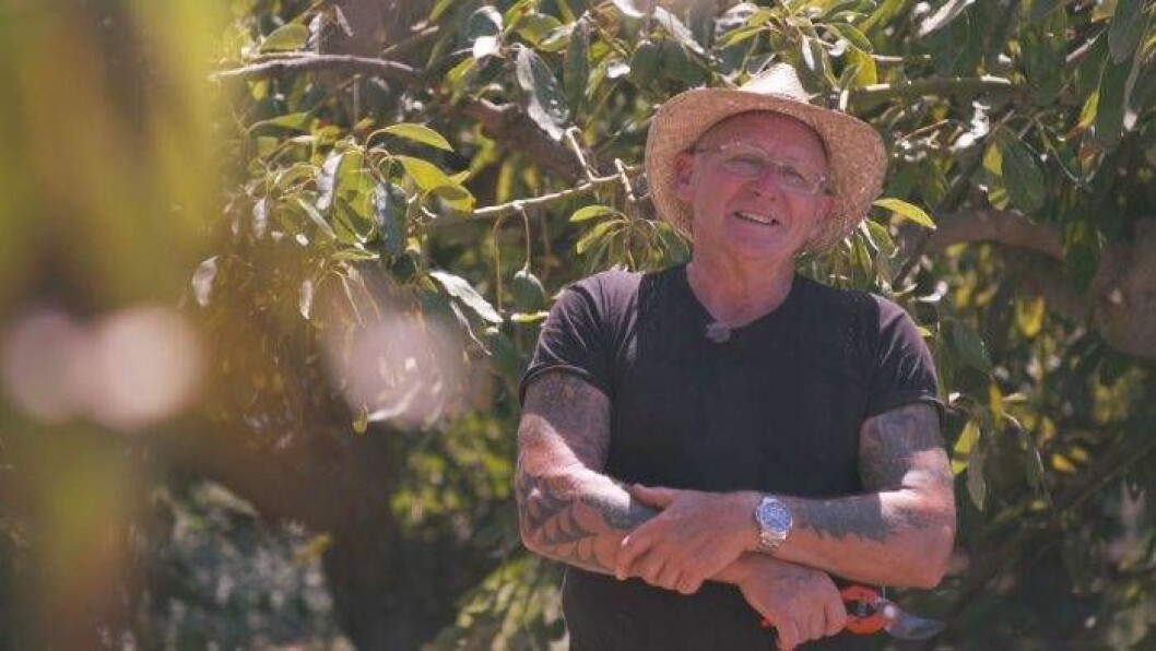 Lief är avokadobonde i spanska Malaga. Foto: TV4 Avokadobonden Leif söker kärleken i Bonde söker fru – jorden runt 2019/2020 i TV4.