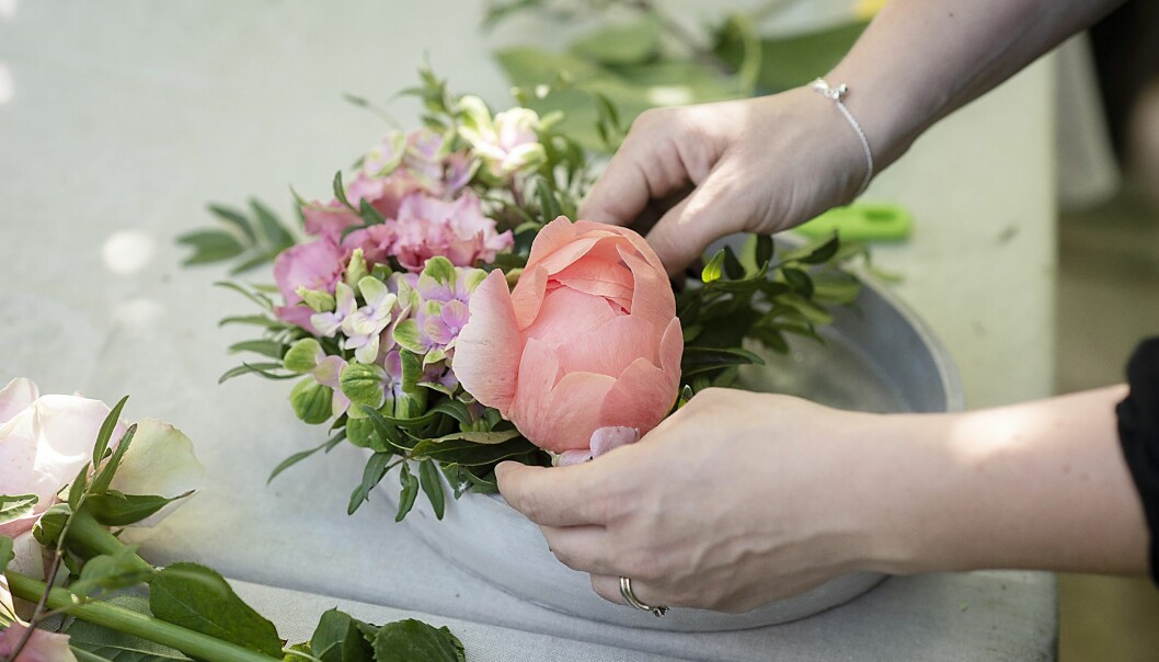 Börja arrangera blommorna.