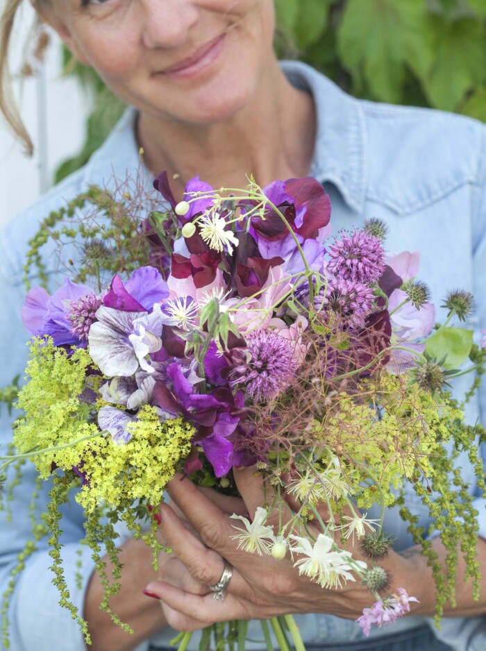 En maffig bukett med blommor från trädgården och ängarna. Luktärten ger en stadig bas i vilken bukett som helst. Här har den fått sällskap av jättedaggkåpans gula, skira blomställningar, mangolds fröställningar (en planta som gått i blom förra året är mycket dekorativ med sina långa spiror), skogsklematis och klöver. En vacker bukett av luktärter.