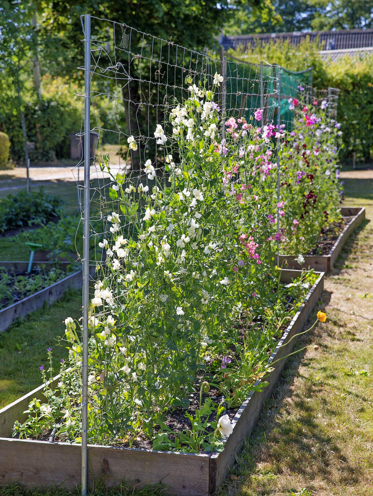 En enkelt blomsterbädd du kan bygga själv.