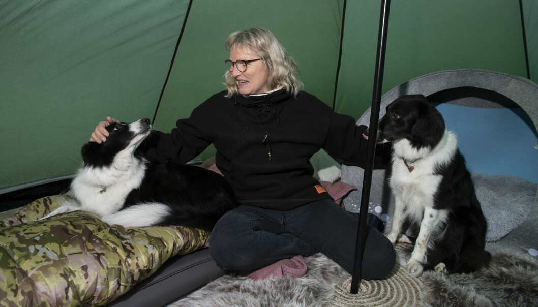 Cana sitter på golvet i tältet tillsammans med hundarna Balli och Didi.