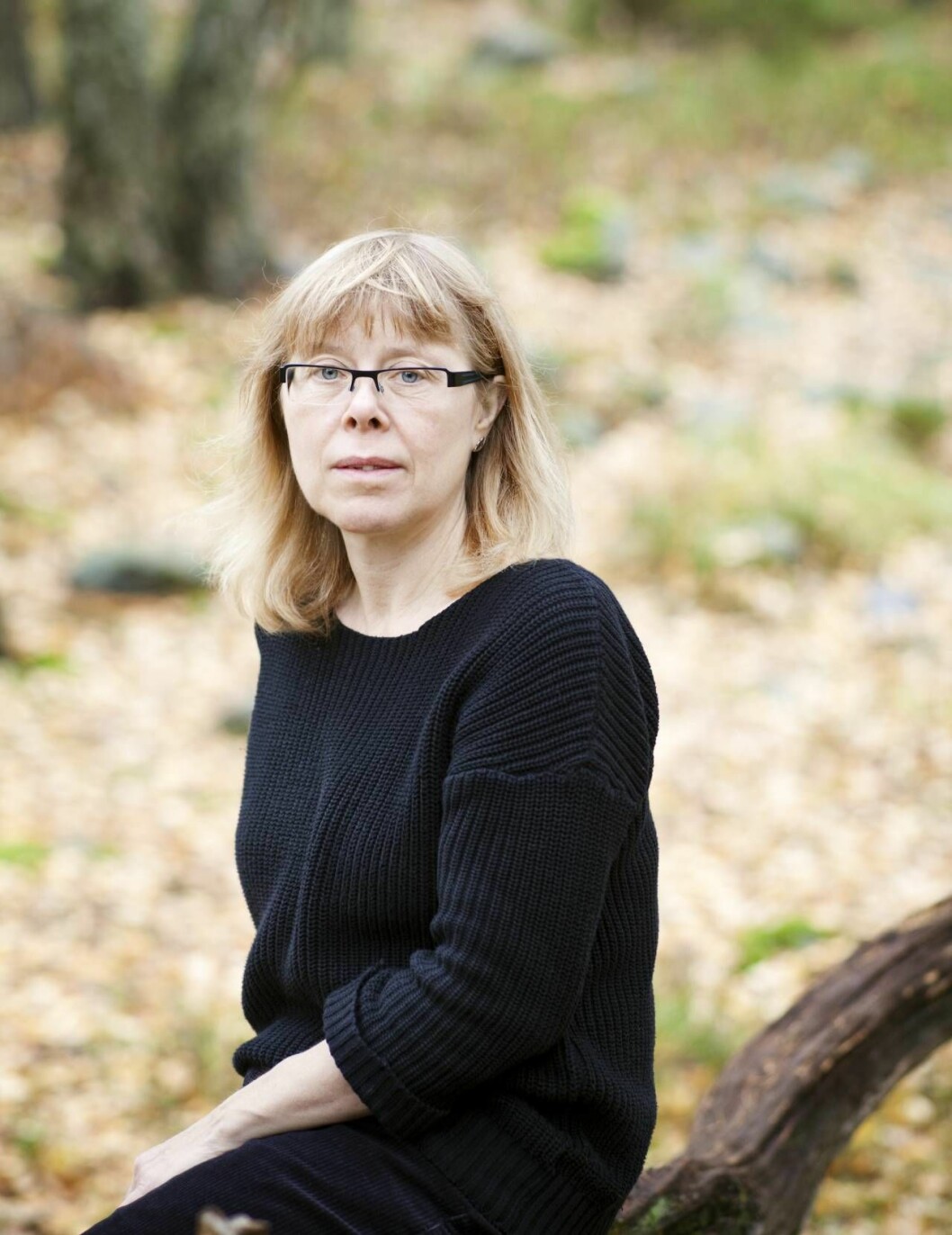 Carin Holmberg har forskat i ämnet våld i nära relationer. Carin Holmberg