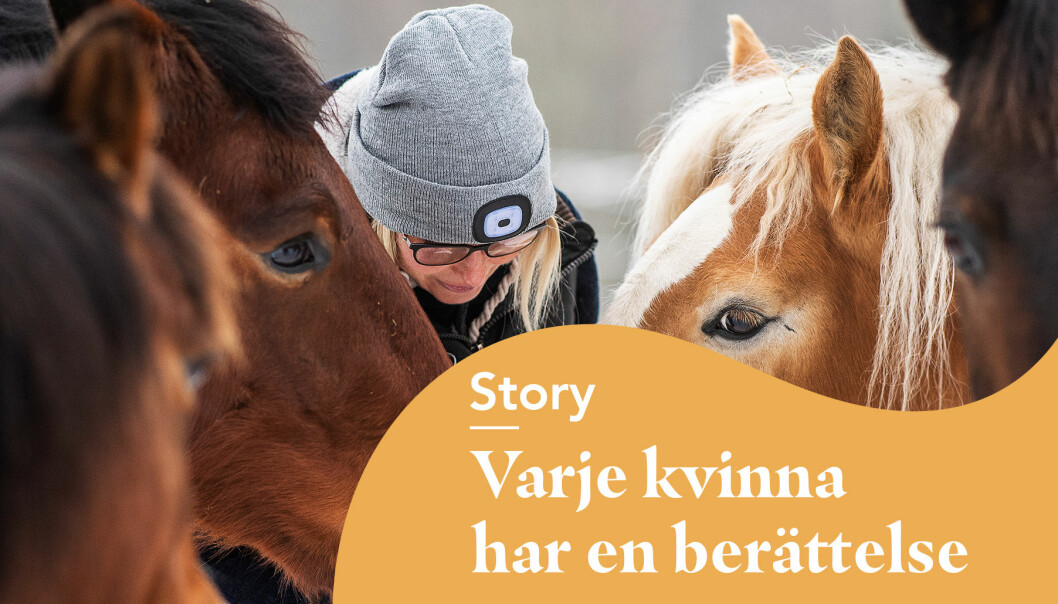 Carina med sina hästar