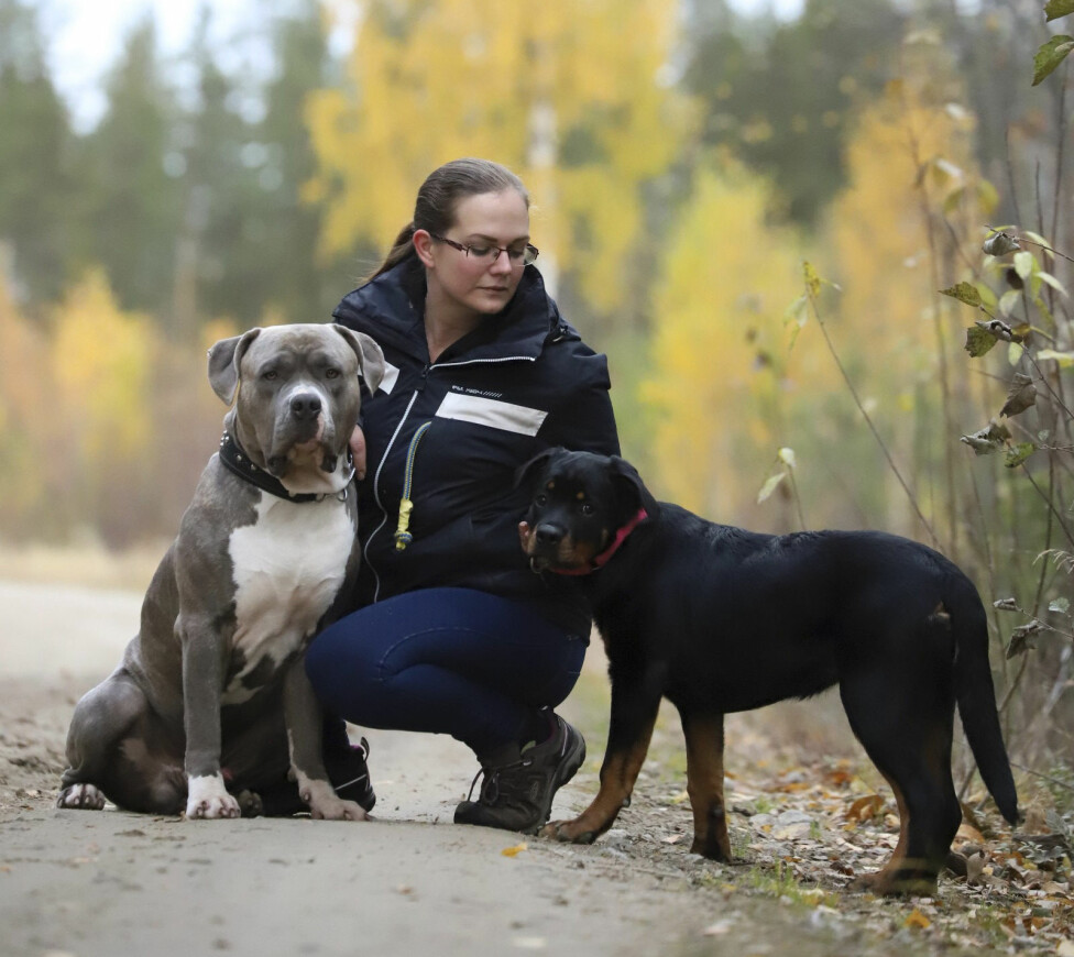 Hundarna Milo och Qiara är Carolinas ögonstenar och hon tränar med dem så ofta hon kan. Carolina sitter på huk på en grusväg tillsammans med sina hundar Milo och Qiara.