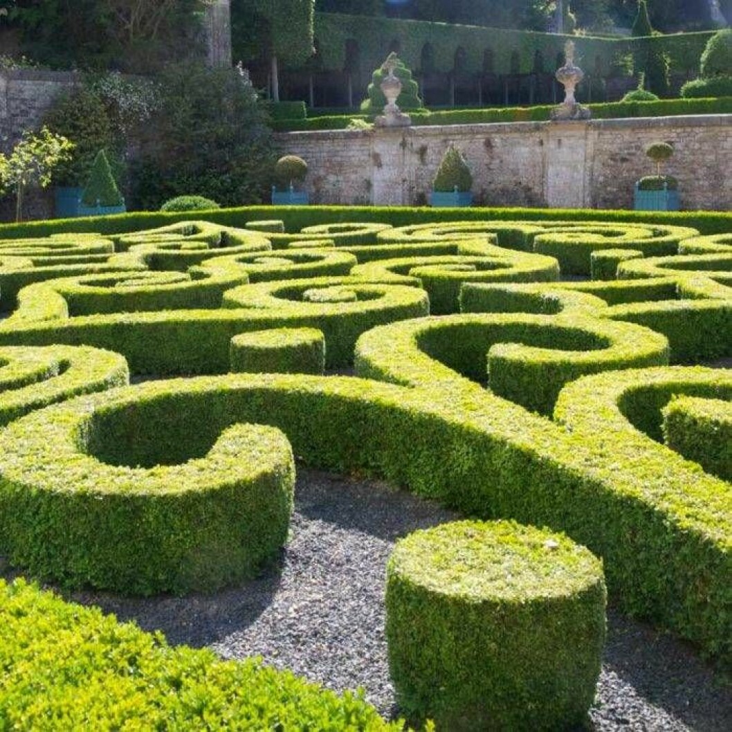 1600-talsslottet Château de Brécy i Normandie har de mest fantastiska buxbomsbroderier planterade framför slottet. Detta är det perfekta stället att åka till för att få inspiration till hur man kan klippa buskar och träd på fantasifulla sätt. 1600-talsslottet Château de Brécy i Normandie har de mest fantastiska buxbomsbroderier planterade framför slottet.