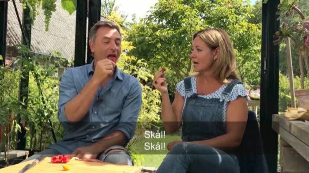 Tareq Taylor och Pernilla Månsson Colt. Foto: SVT Tareq Taylor och Pernilla Månsson Colt testar världens starkaste chili.