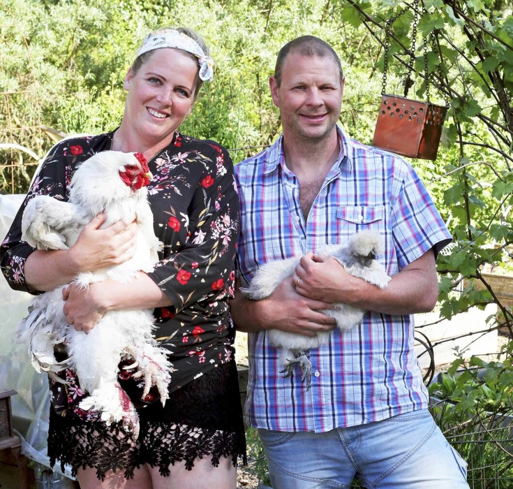Christina och Christers mark är uppdelad i små söta trädgårdar och vidsträckta odlingsplatser. Christina och Christer med hönor i famnen