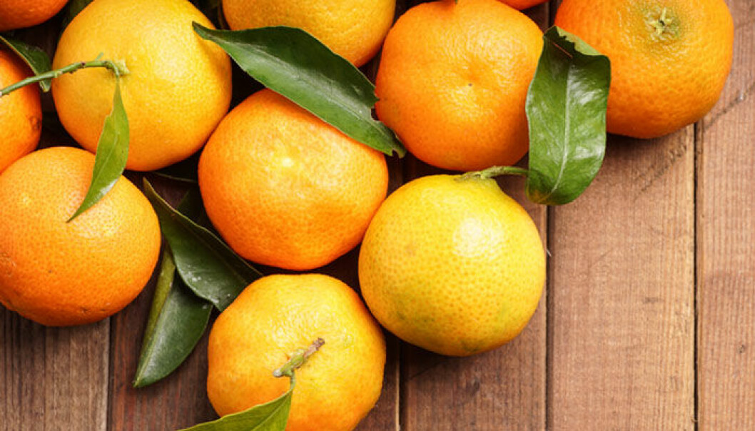 Vad är skillnaden mellan clementiner, satsumas och mandariner