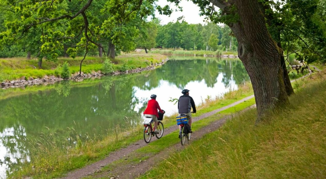 Sverigeleden går genom alla svenska landskap utom Gotland. Foto: TT Par cyklar i grönskande miljö.