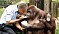 David Attenborough med orangutanger.