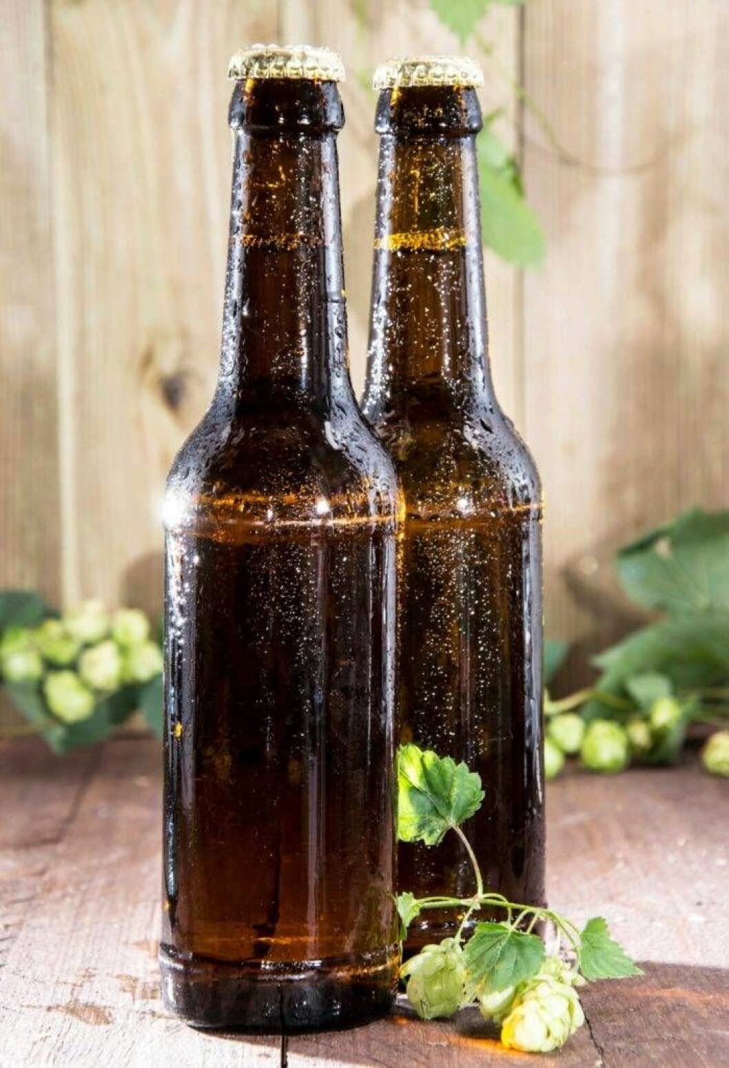 För tio år sedan fanns det ett 30-tal aktiva bryggerier i Sverige- De senaste åren har intresset exploderat och idag finns det flera hundra. Foto: IBL/Shutterstock För tio år sedan fanns det ett 30-tal aktiva bryggerier i Sverige- De senaste åren har intresset exploderat och idag finns det flera hundra.