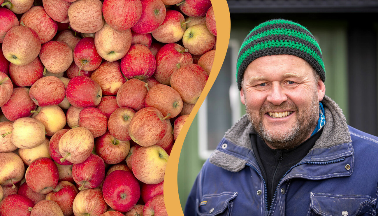 Delad bild. Till vänster: En samling äpplen. Till höger: Trädgårdsmästaren John Taylor.