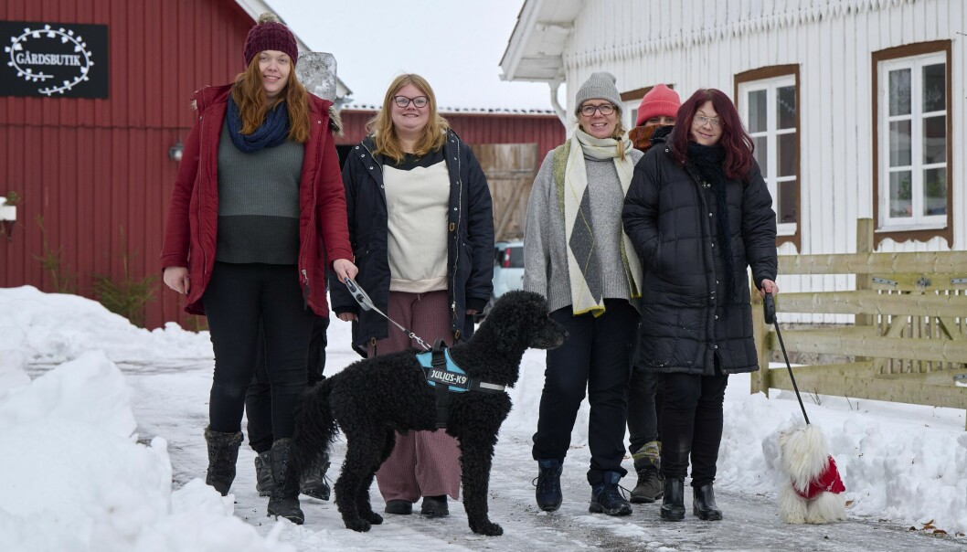 Deltagarna i projektet Grönt innanförskap tar en promenad med hundarna