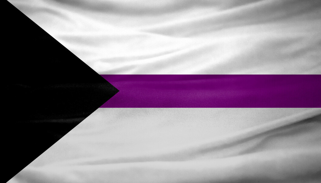 Demisexuell pride-flaggan