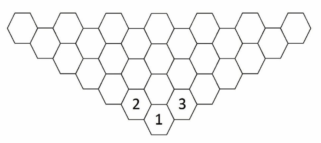 Diagram till virkad blomsjal