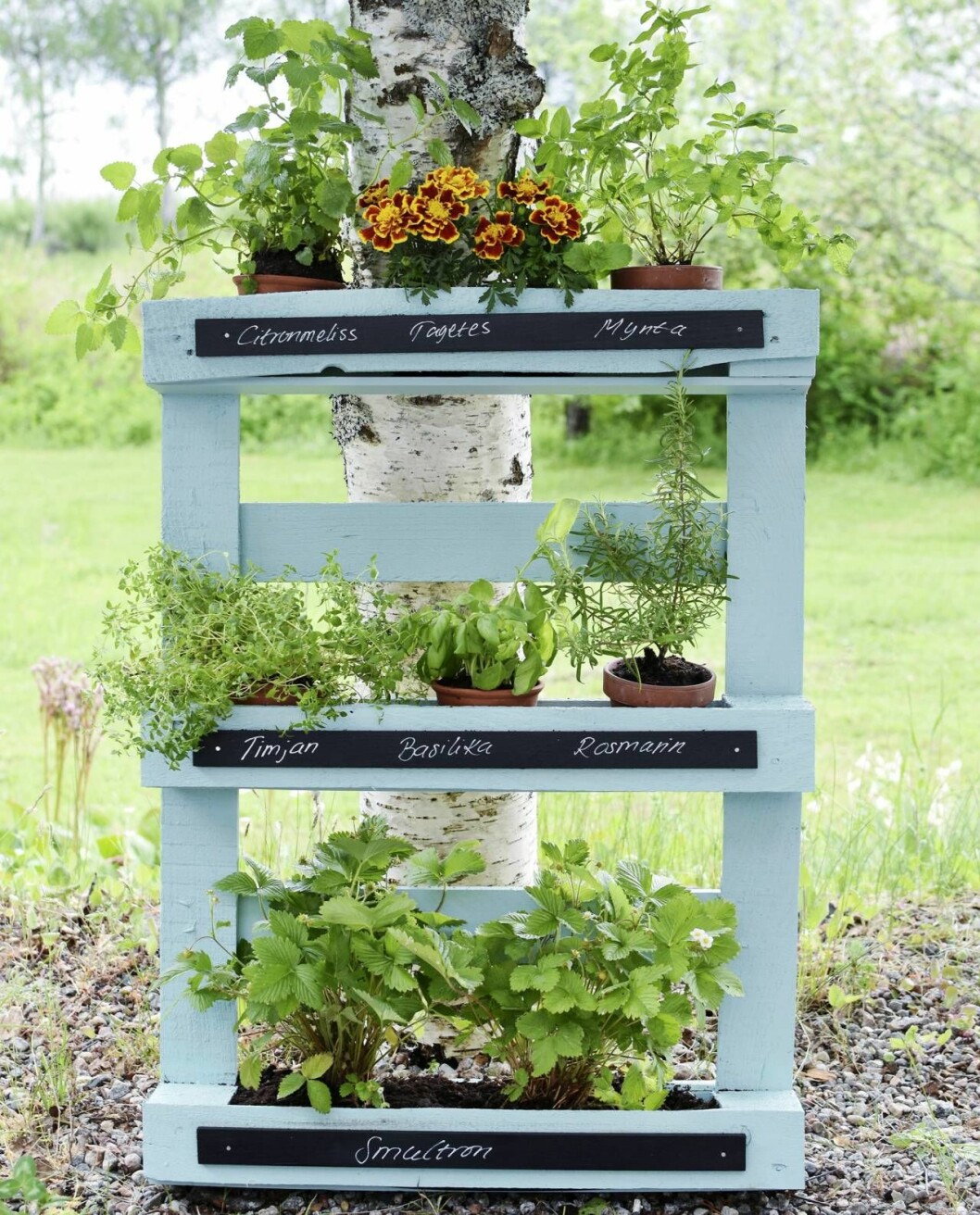Så här fin och praktisk blir kryddhyllan! Vill du ändra plantornas placering är det bara att torka bort texten med en våt trasa. Hemmagjord kryddhylla i trä fylld med blommor och växter