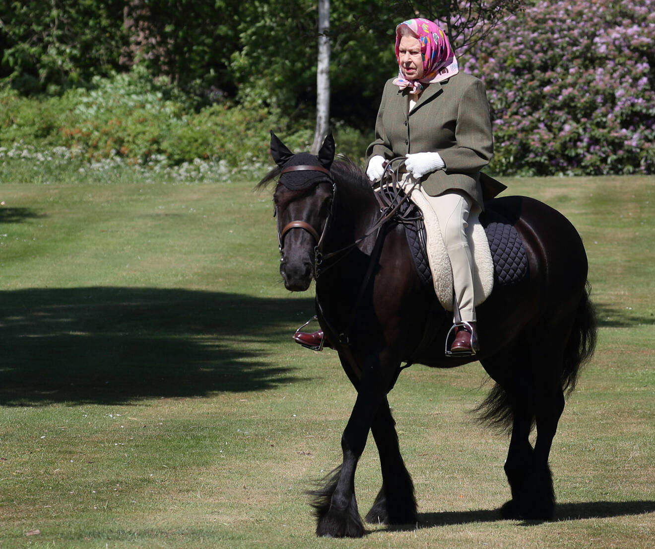 Drottning Elizabeth II på hästryggen.