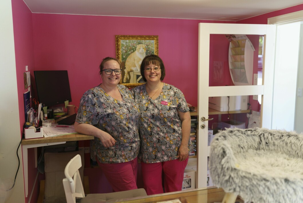 Cecilia med kollegan Johanna (till vänster). På Norrtälje kattcenter jobbar fem anställda och fem volontärer. Cecilia och Johanna på Kattcenter i Norrtälje