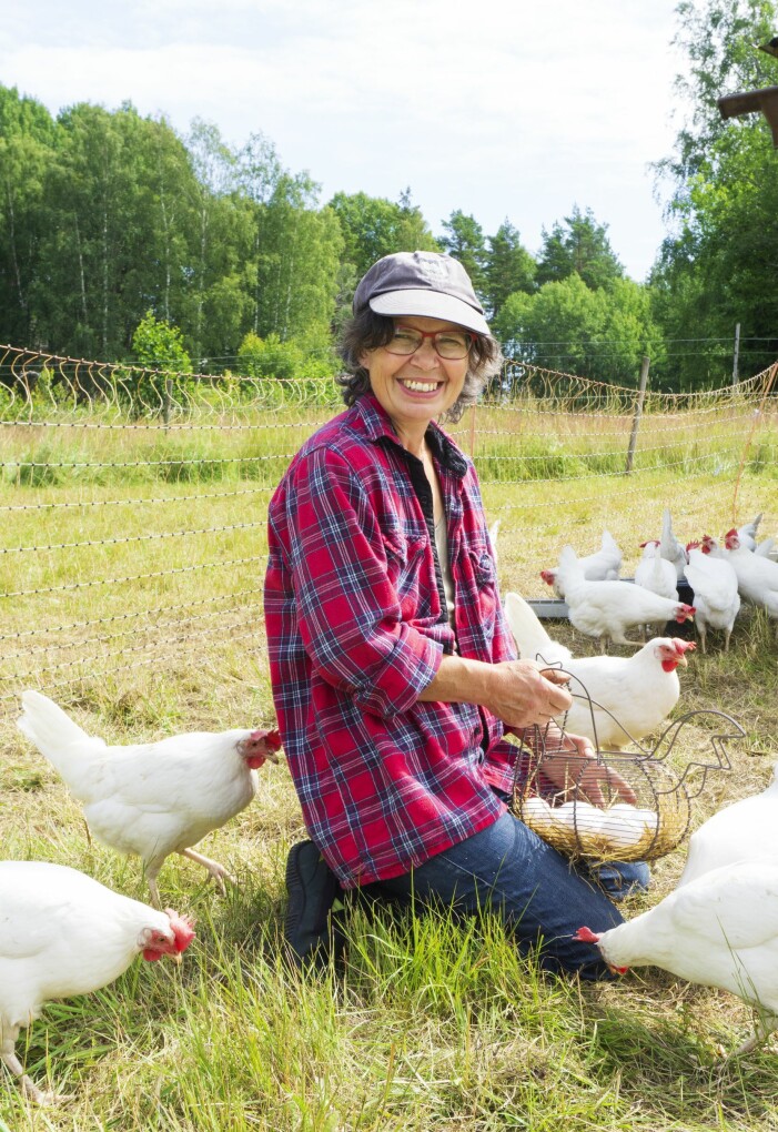 Christel bor med sina djur i Nygran, mitt i Kolmårdsskogen. Hönorna går fritt och ger både gödsel till odlingarna och ägg för eget bruk och till försäljning. Christel Guillet driver Nygrans gård utanför Nyköping. Här går hönsen fritt.