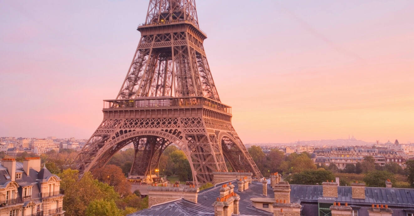 Bild på Eiffeltornet och takåsar.