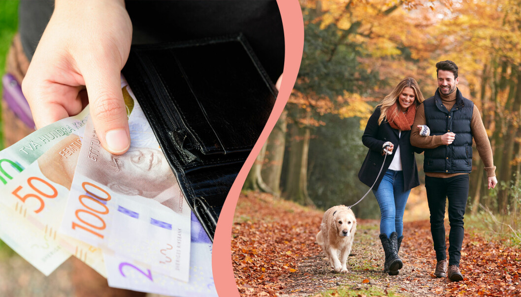 Till vänster, kontanter i en plånbok, till höger, ett par promenerar i skogen med en hund.