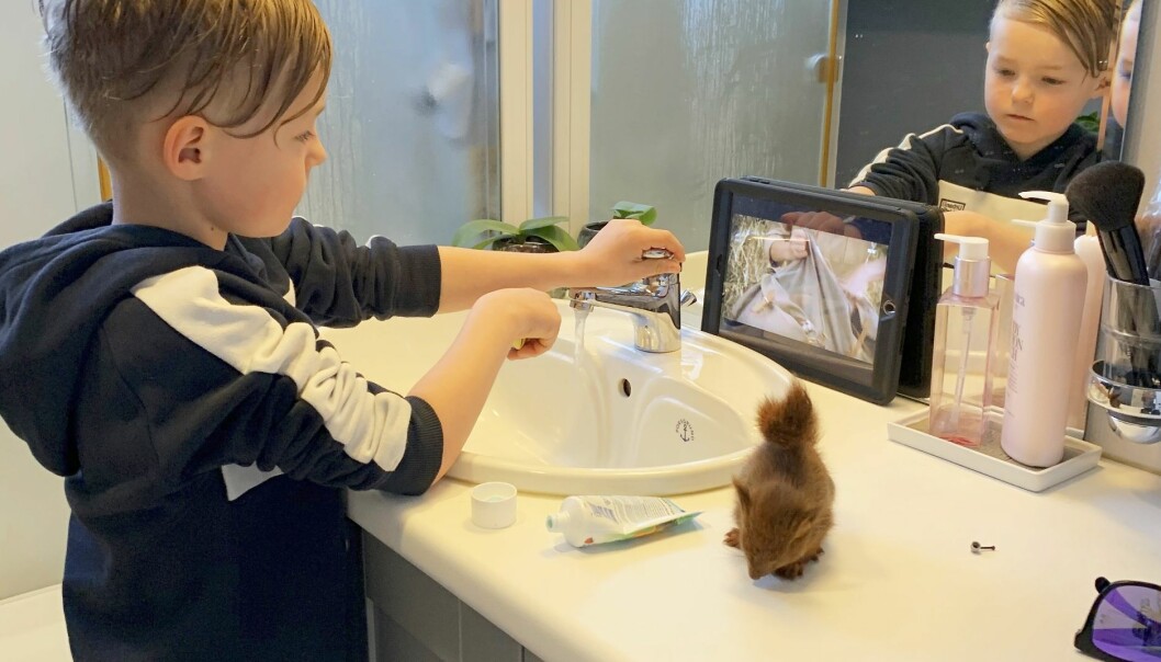 Pojke borstar tänderna och har sällskap av en ekorre.