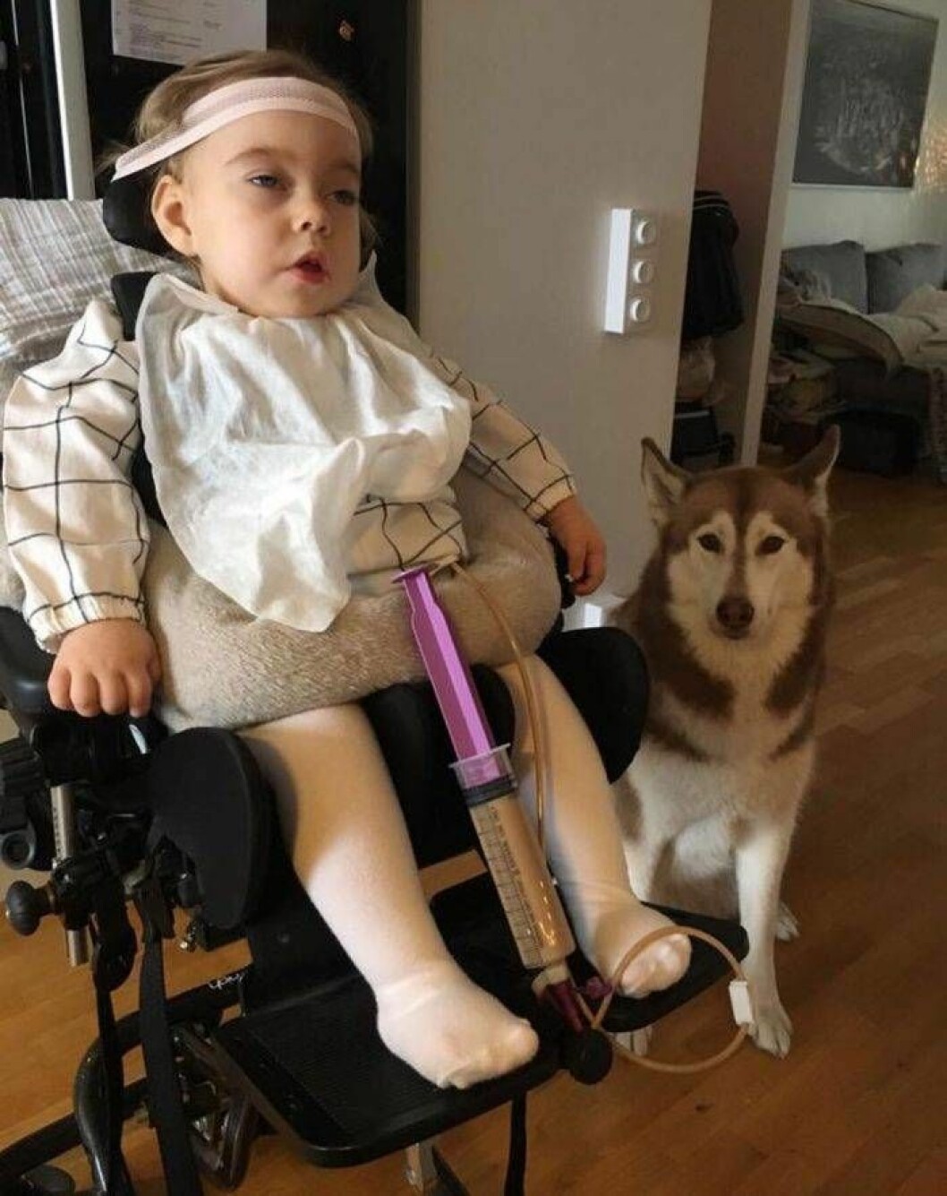 Eleonora behövde hjälp med allting. Här sitter hon i sin specialdesignade stol och får mat via en knapp på magen. I bakgrunden syns hunden Elsa. Foto: Privat Eleonora Aldin hemma i Malmö. Hon föddes med en unik genmutation och blev bara tre år gammal.