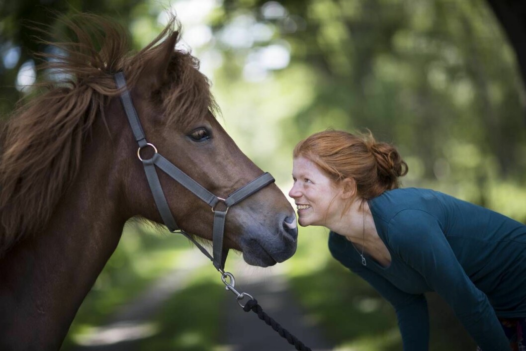 Ett krävande jobb, där det var svårt att sätta gränser, bidrog till att Elin Klingstedt gick in i väggen. Att vara med hästarna har lärt henne att koppla av. Foto: Ewa Stackelberg Elin tittar på sin häst