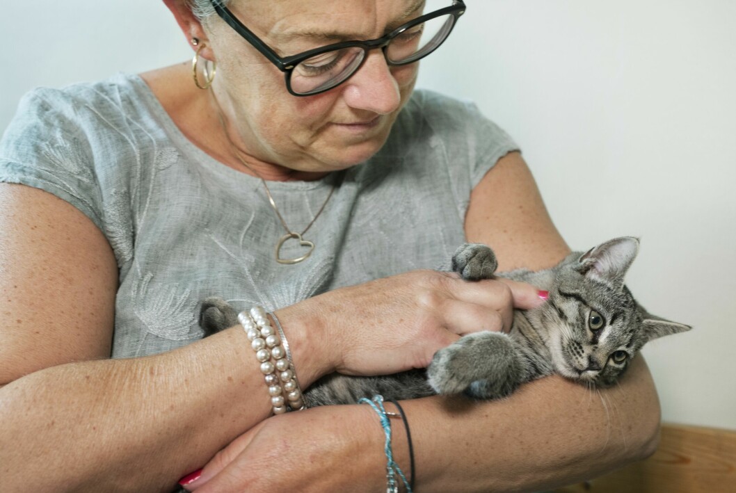 I sina föreläsningar för vårdpersonal pratar Elisabet mycket om medmänsklighet vid möten med människor i sorg. Elisabet och katten.
