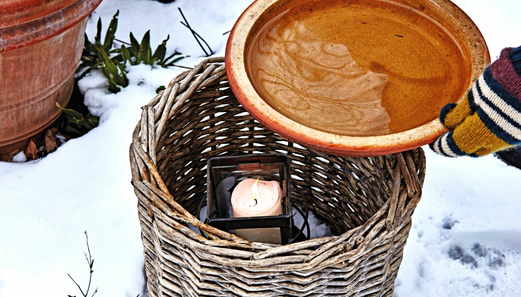 En korg med ljus inuti får fågelbadet att fortsätta vara isfritt i vinter.