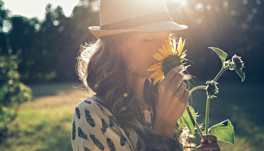 Ta dig tid att ta in dofter, känslor och ljud när du är ute i trädgården för en helt gratis mindfulness-upplevelse. Foto: Shutterstock/TT En kvinna luktar på en solros.