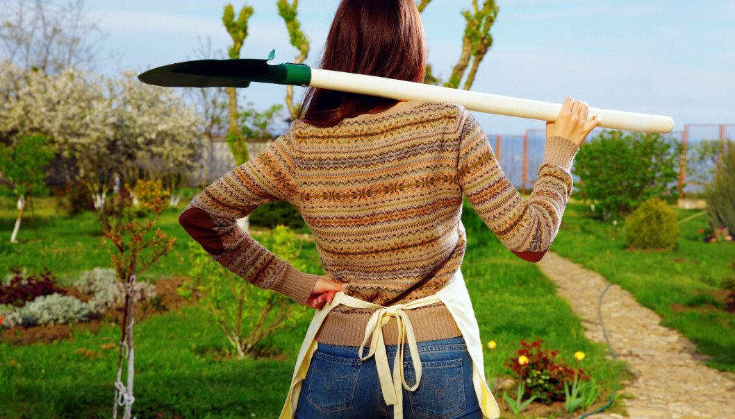 Inget får en att känna sig så nöjd när man ser resultatet av något man skapat med sina egna händer. Foto: Shutterstock/TT En kvinna står med en spade över axlarna och tittar ut över sin trädgård.