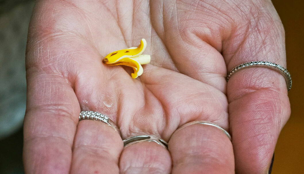 En skalad banan är bara en av alla pyttesmå saker att lägga märke till och förundras över bland miniatyrsakerna. En miniatyrbanan till ett dockskåp.