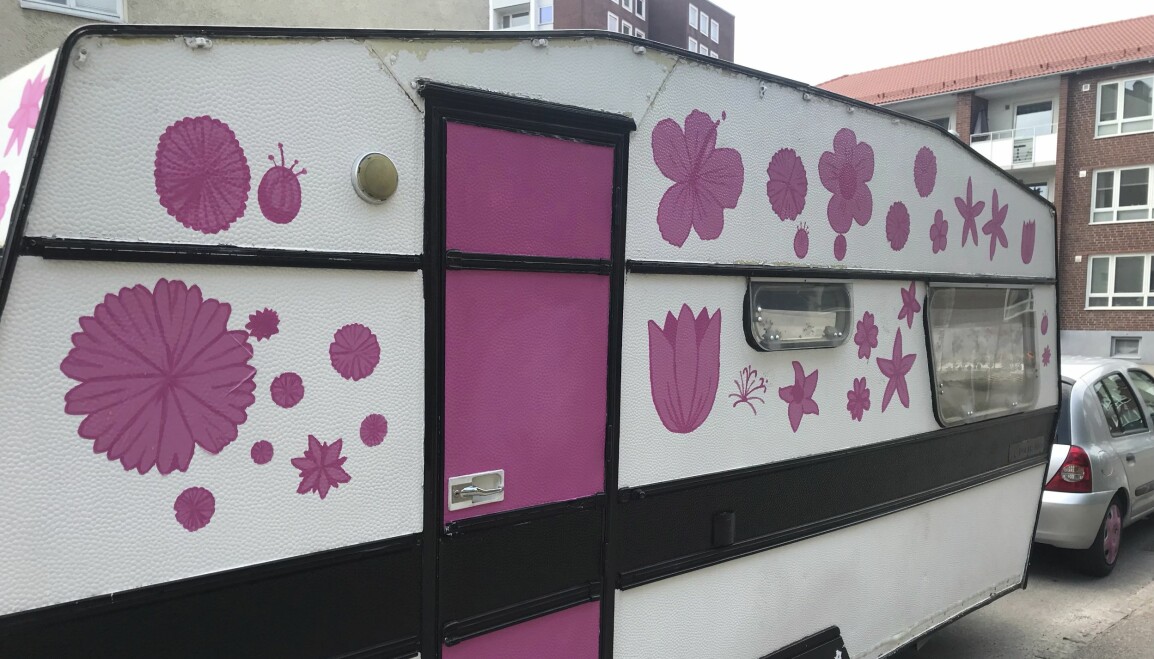 Den blommiga husvagnen känns igen direkt när Louise kommer till Dansveckan på Öland, där är hon känd som Tant Rosa med vagnen. En rosa, blommig husvagn som Louise Tanten Johqvist älskar att åka runt i.