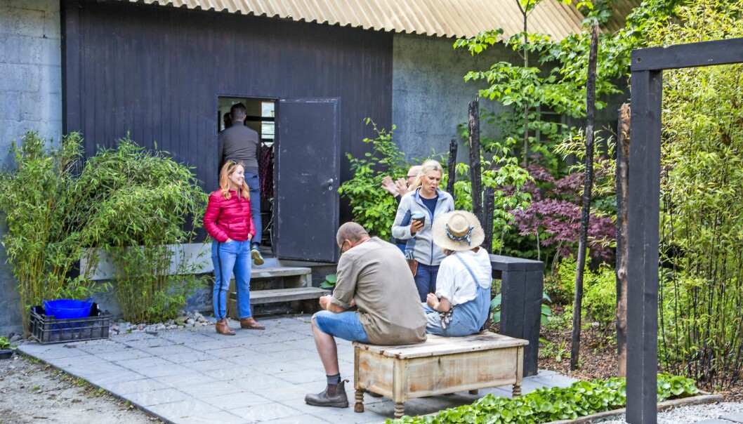 En väldigt snabb fikapaus. Inne i huset är det spartanskt – ett enkelt kök för att kunna koka kaffe, ett par gamla soffor att vila i, några klädställningar. Toabesök får göras i en bajamaja en bit ifrån. En snabb fikapaus under inspelningen av Trädgårdstider 2021.